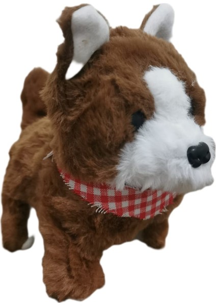 Pilli , Hareketli, Oyuncak Köpek fiyatları