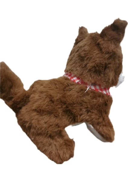 Pilli , Hareketli, Oyuncak Köpek modelleri