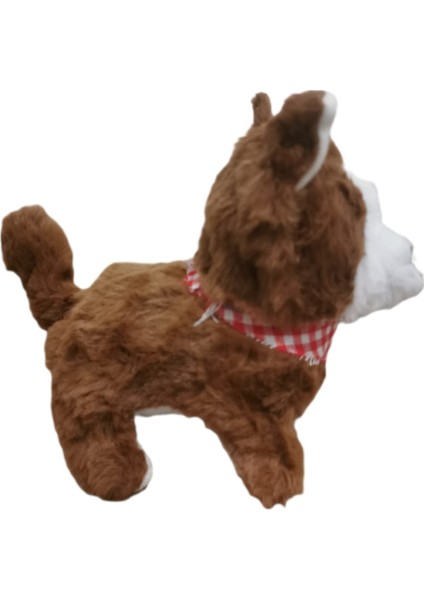 Pilli , Hareketli, Oyuncak Köpek fırsatları