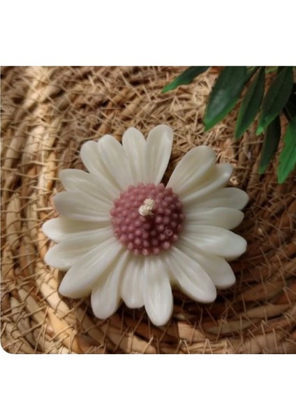 12 Adet Söz, Nişan, Düğün, Kına, Nikah Kartlı Papatya Hediyelik, Papatya fiyatları