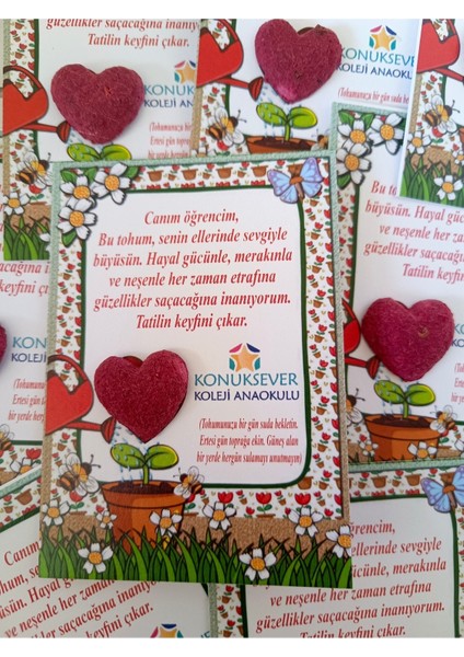 15 Adet Karne Hediyesi Tohumlu Kalp