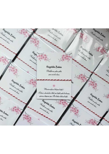 10 Adet Hediyelik Marteniçka Bileklik