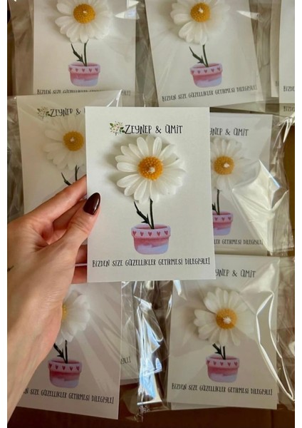12 Adet Söz, Nişan, Düğün, Kına, Nikah Kartlı Papatya Hediyelik, Papatya