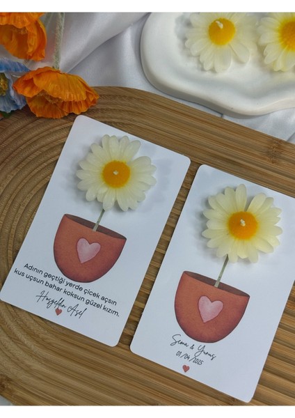 20 Adet Kartlı Papatya Mum