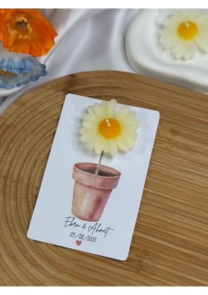 20 Adet Kartlı Papatya Mum fırsatları