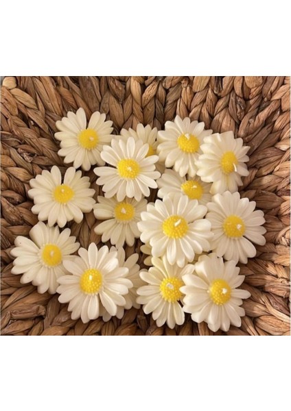 50 Adet Hediyelik Papatya Mum