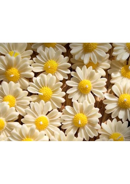 50 Adet Hediyelik Papatya Mum fiyatları