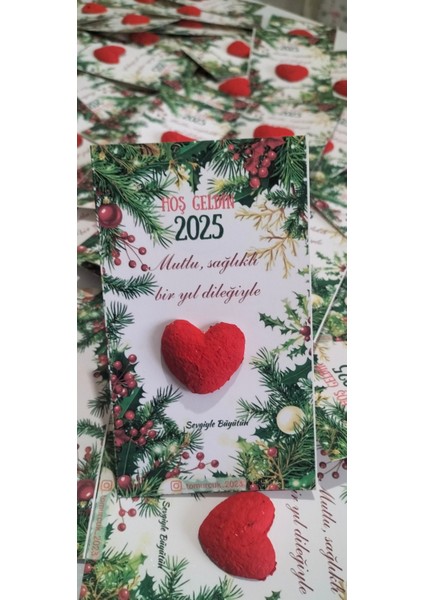 5 Adet Tohumlu Kart Yılbaşı Hediyesi, Yeni Yıl Hediyesi Hatırası
