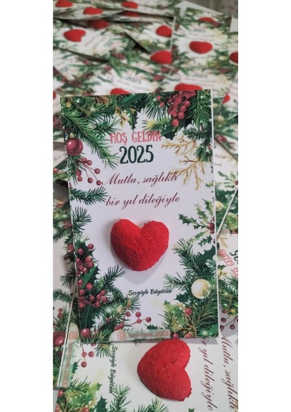 5 Adet Tohumlu Kart Yılbaşı Hediyesi, Yeni Yıl Hediyesi Hatırası fiyatları
