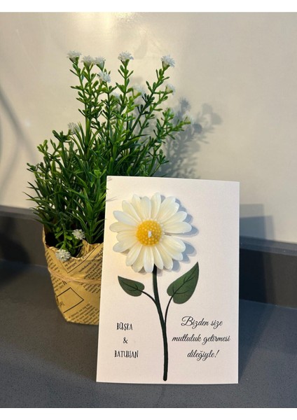 18 Adet Süslemeli Papatya , Nikah Şekeri, Doğum, Sünnet, Düğün Nişan Söz, Kına, Doğum Günü .