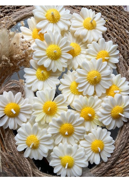 25 Adet Özel Tasarlanmış Kart ve Papatya Mum. Bebek Doğum, Babyshower, Doğum Günü, Hediyelik fiyatları