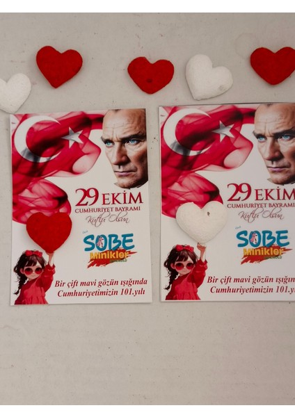 15 Adet Tohumlu Kalp modelleri