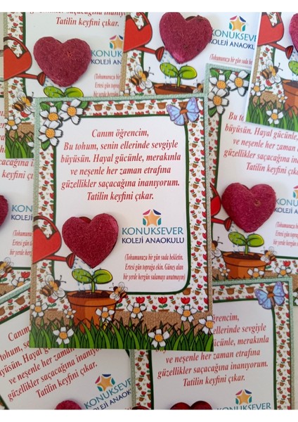 15 Adet Tohumlu Kalp