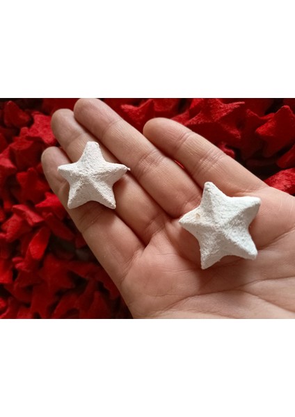 20 Adet 29 Ekim Cumhuriyet Bayramı 23 Nisan Hediyelik Tohum modelleri