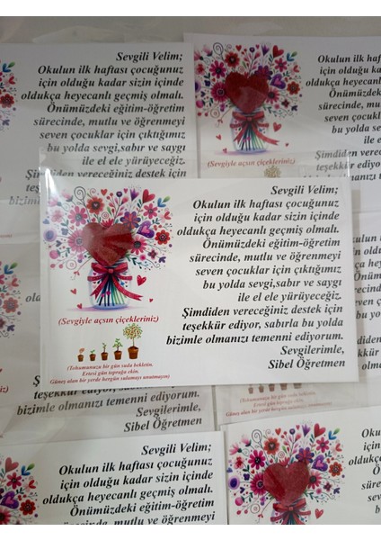 Veli Toplantısı Tohumlu Kart (20 Adet) fiyatları