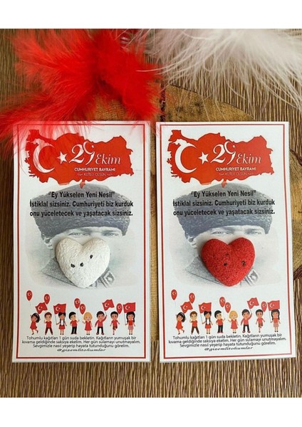 29 Ekim Cumhuriyet Bayramı 25 Adet Tohumlu Kart Hediyelik