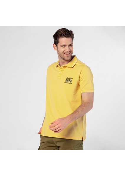 Paden Erkek Sarı Polo Tişört