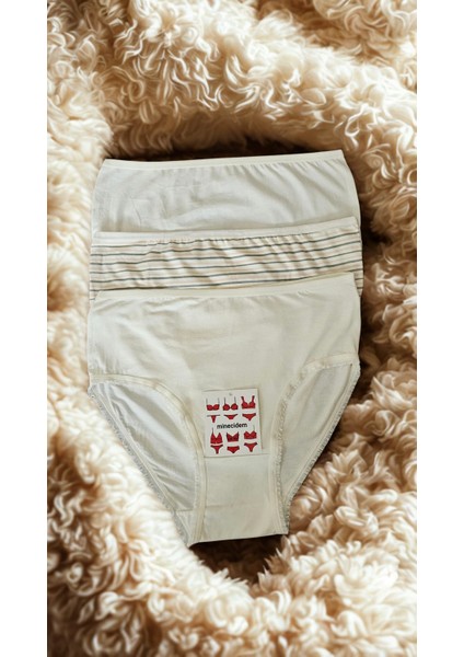 Büyük Beden Penye Külot Ekonomik 3 Lü Paket fiyatları