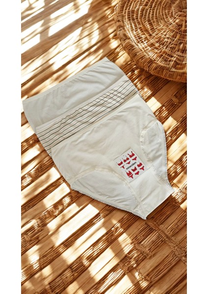 Büyük Beden Penye Külot Ekonomik 3 Lü Paket modelleri