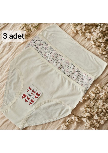 Büyük Beden Penye Külot Ekonomik 3 Lü Paket