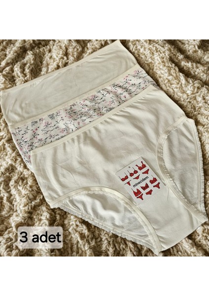 Büyük Beden Penye Külot Ekonomik 3 Lü Paket fiyatları