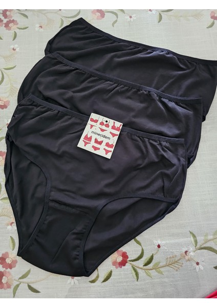 Büyük Beden Penye Külot Ekonomik 3 Lü Paket modelleri