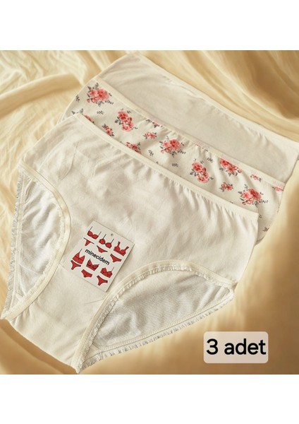 Büyük Beden Penye Külot Ekonomik 3 Lü Paket