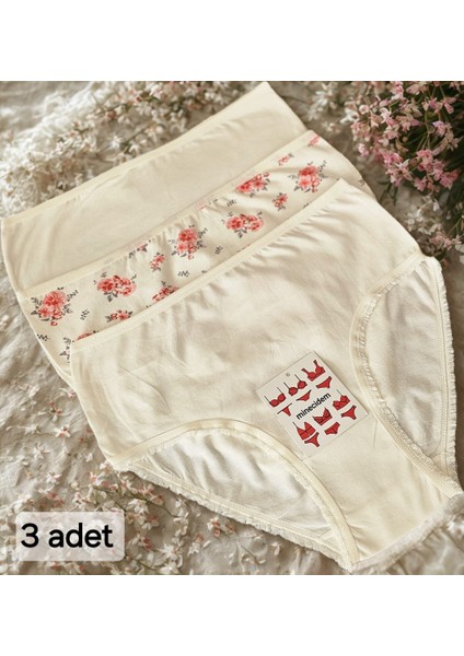 Büyük Beden Penye Külot Ekonomik 3 Lü Paket fiyatları