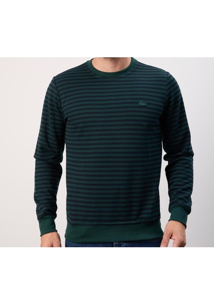 Bisiklet Yaka Nefti Regular Fit Uzun Kol Çizgili