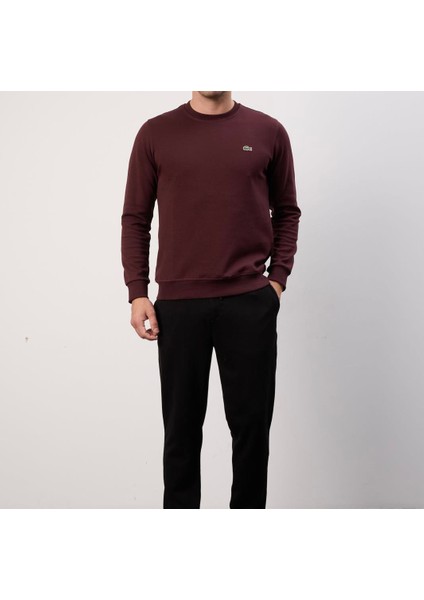 Basıc Bisiklet Yaka Bordo Regular Fıt fiyatları