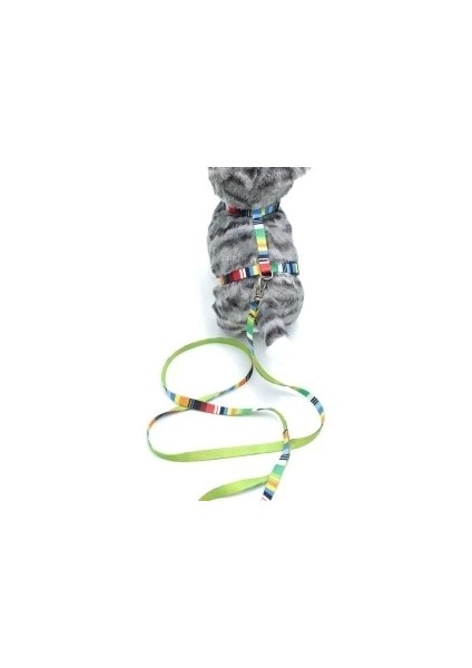 Kedi Renkli Göğüs Tasması ve Gezdirme Seti PS9637