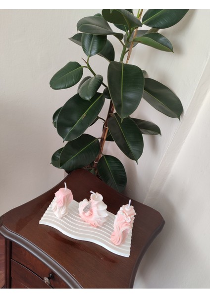 “guya Aura 3’lü Mum Seti – Soya Wax Sandal Kokulu”