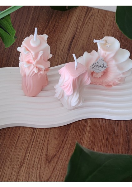 “guya Aura 3’lü Mum Seti – Soya Wax Sandal Kokulu” fırsatları