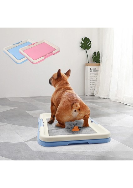 Taşınabilir Köpek Eğitim Tuvaleti - Kapalı Köpekler Için Lazımlık, Kedi Kumu Kutusu ve Ped Tutucu