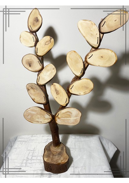 Öğretmene En Özel Hediye Zeytin Ağacından Isimli Sınıf Ağacı indirimleri