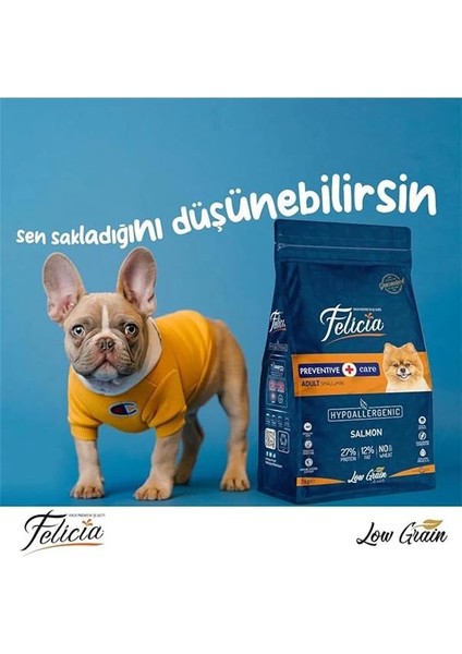 Az Tahıllı 3 kg Yetişkin Somonlu Small/mini Hypoallergenic Köpek Maması modelleri