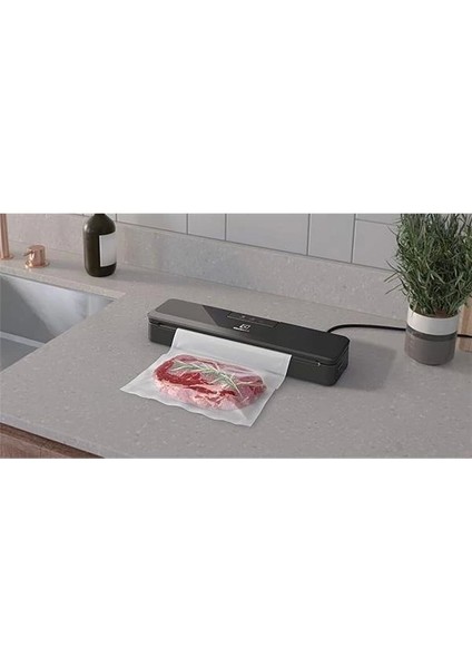 E4VS1-4AG Vakum Makinesi ve 10 Adet Vakum Poşeti fiyatları