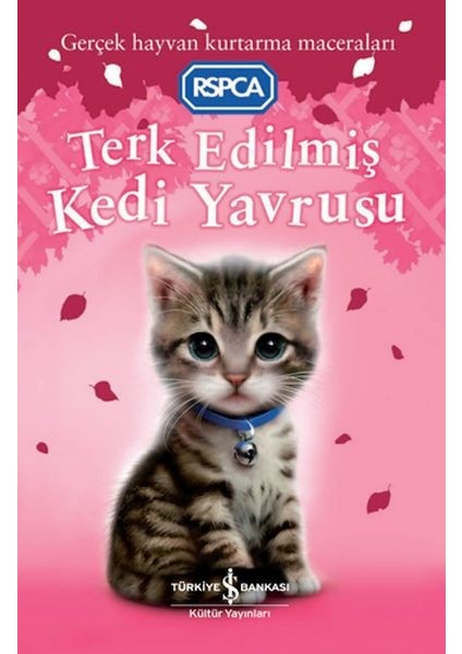 Terk Edilmiş Kedi Yavrusu