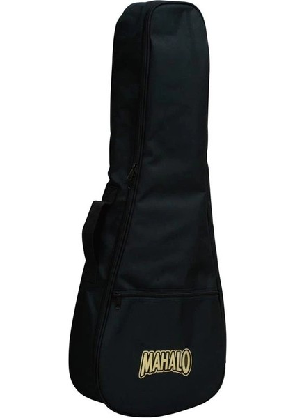 Sx SD104 Akustik Gitar (Natural)