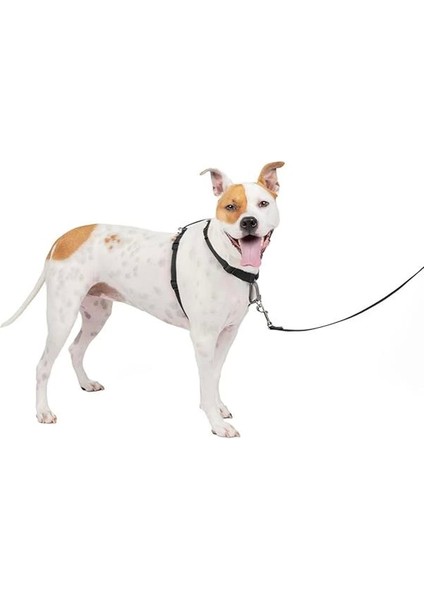 The Makers Of The Easy Walk Harness, 3'ü 1 Arada Koşum Kayışı, Tamamen Ayarlanabilir, Çekmez