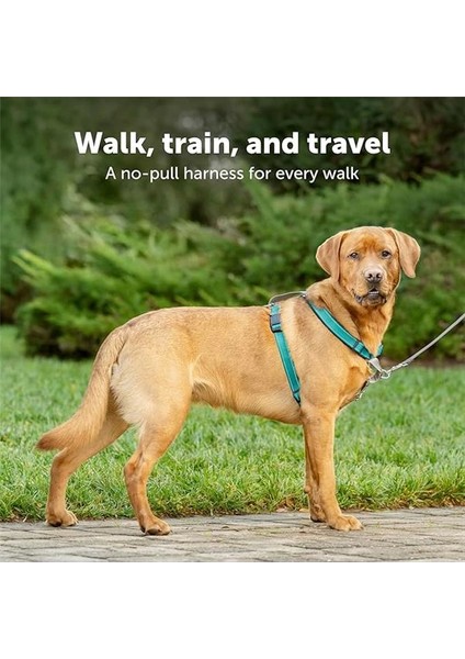 The Makers Of The Easy Walk Harness, 3'ü 1 Arada Koşum Kayışı, Tamamen Ayarlanabilir, Çekmez fiyatları