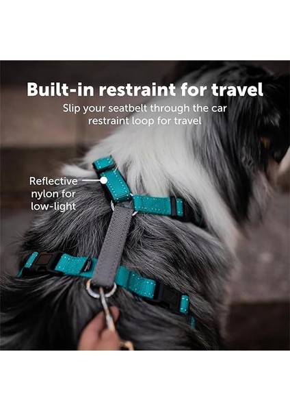 The Makers Of The Easy Walk Harness, 3'ü 1 Arada Koşum Kayışı, Tamamen Ayarlanabilir, Çekmez modelleri