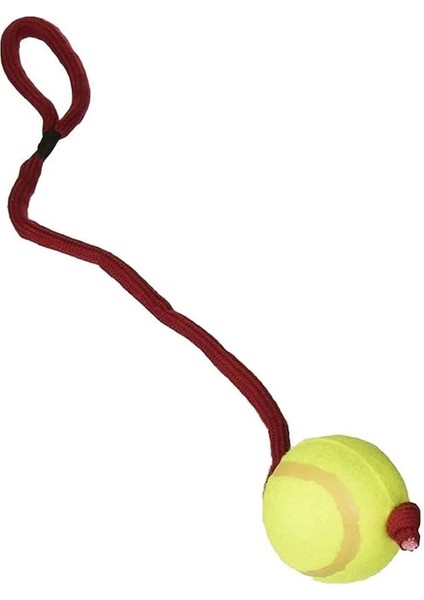 Köpek Oyuncağı , Ipli Tenis Topu 6cm / 50CM