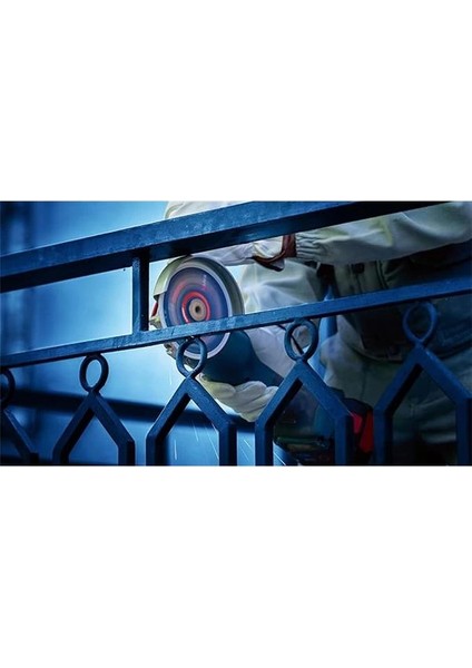 Professional 1x Expert Diamond Metal Wheel X-Lock Kesme Diski 125 mm (Dökme Demir, Paslanmaz