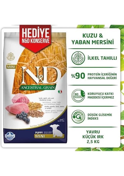 N&d Ancestral Grain Kuru Köpek Maması, Kuzu, Kılçıksız Buğday, Yulaf ve Yabanmersinli, Yavru Köpek fırsatları