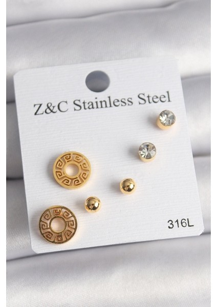 316L Çelik Gold Renk Zirkon Taşı Labirent Model Kadın Küpe Seti