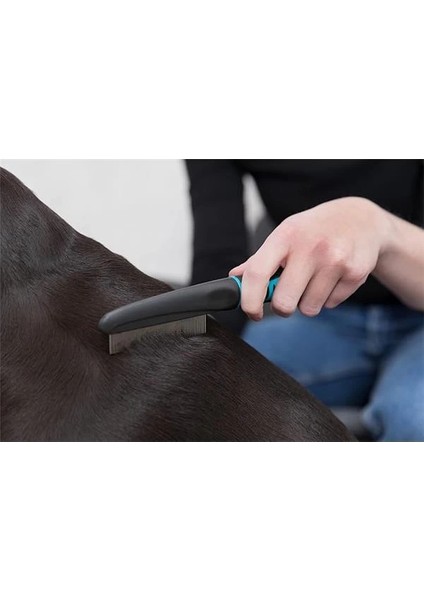 Köpek Pire ve Bit Tarağı, 21CM