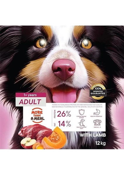 Yetişkin Köpekler Için Kuzu Etli Kuru Köpek Maması (12 Kg, Kuzu) modelleri