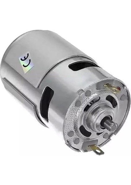 RS775 Dc Motor 12V 3000RPM modelleri