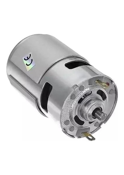 RS775 Dc Motor 12V 3000RPM
